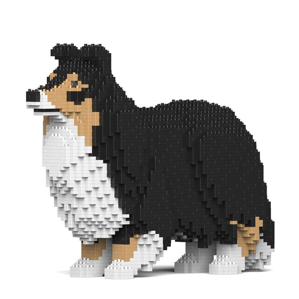 Jekca Shetland Sheepdog 02-M02