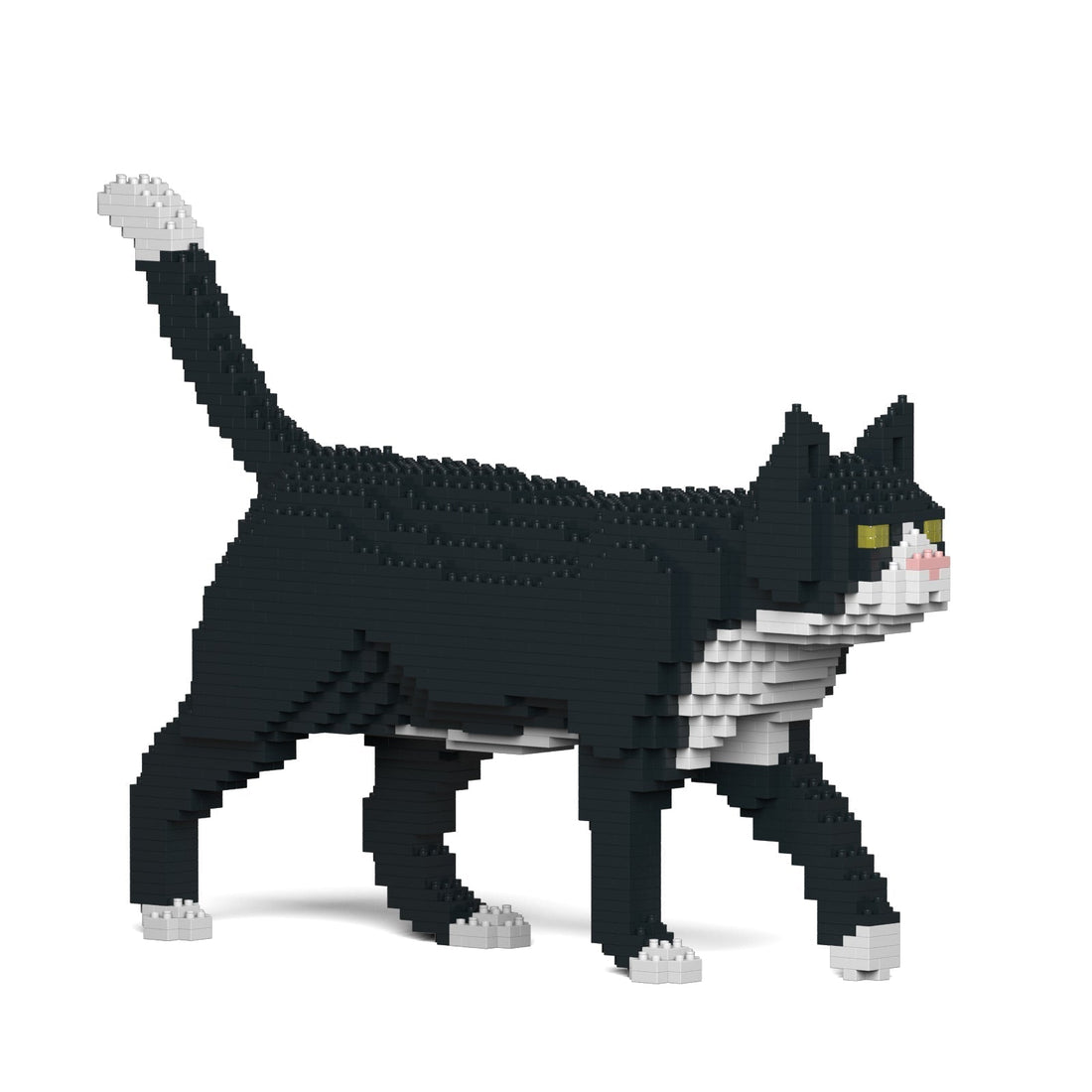 Jekca Tuxedo Cat 02S