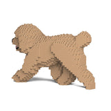 Jekca Toy Poodle 02-M03