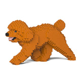 Jekca Toy Poodle 02-M04