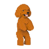 Jekca Toy Poodle 04-M04
