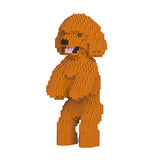 Jekca Toy Poodle 04-M04