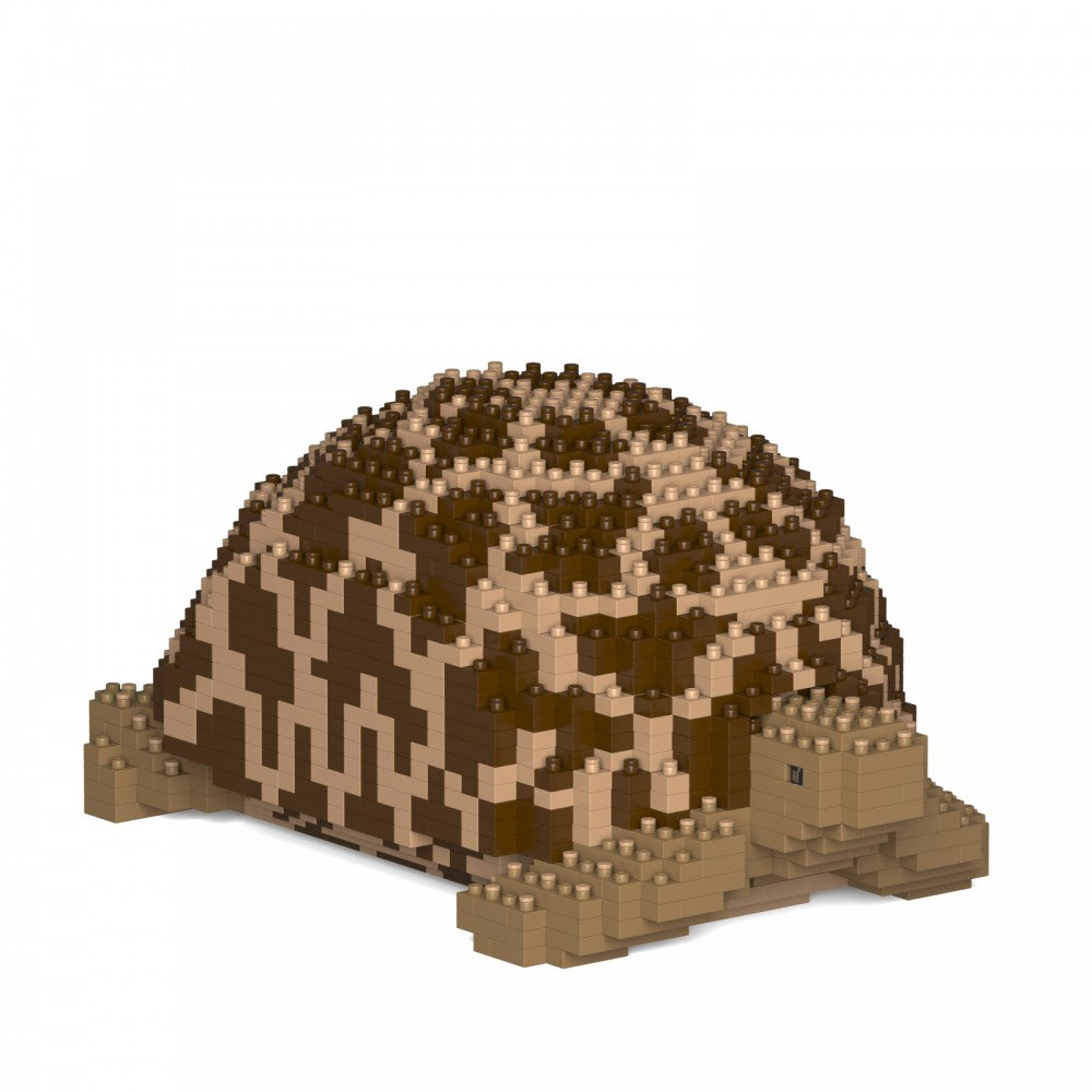 JEKCA Animal Buildin Blocks Kit for Kidults Indian Star Tortoise 01S