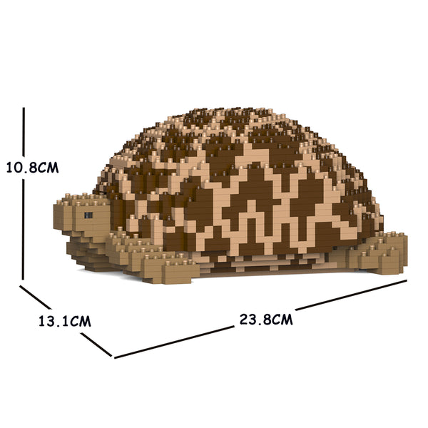 JEKCA Animal Buildin Blocks Kit for Kidults Indian Star Tortoise 01S