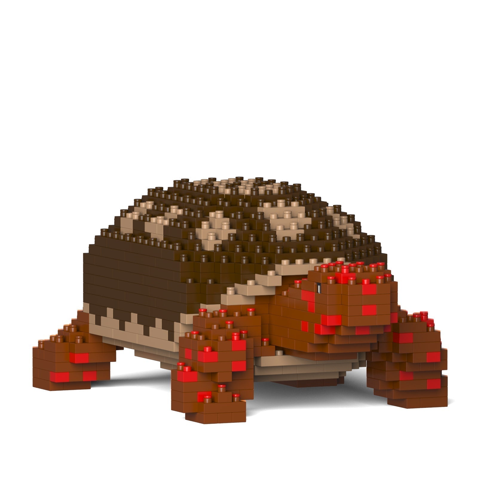 Jekca Red-footed Tortoise 01
