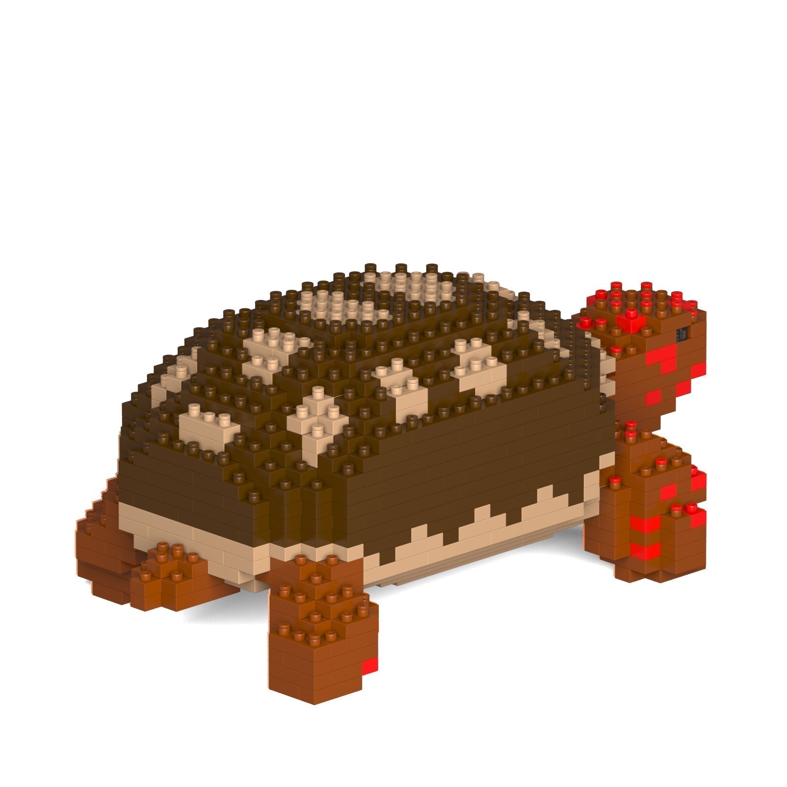 Jekca Red-footed Tortoise 01