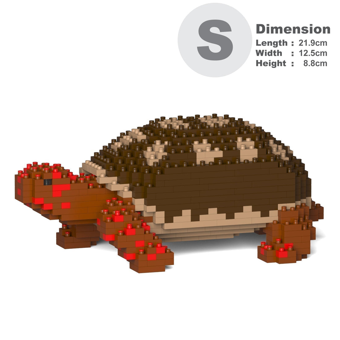 Jekca Red-footed Tortoise 01