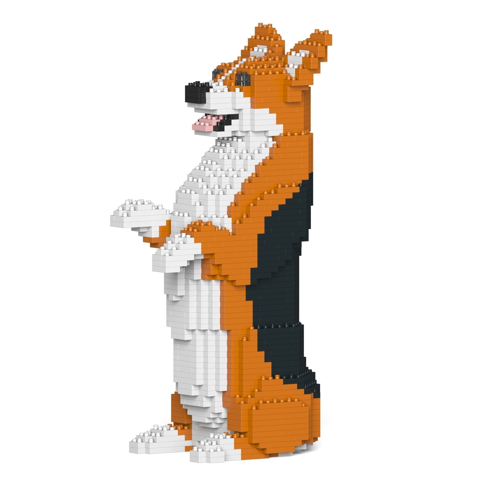 Welsh Corgi – Jekca Shop
