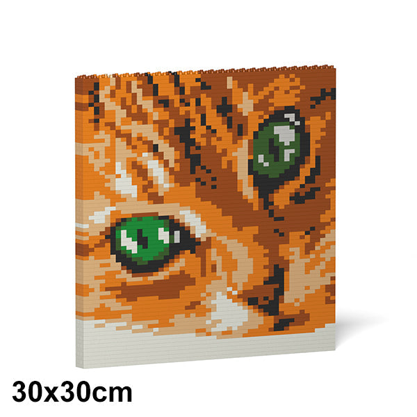 Jekca Cat Eyes Brick Painting 01S-M01