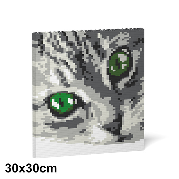 Jekca Cat Eyes Brick Painting 01S-M02