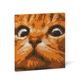 Jekca Cat Eyes Brick Painting 02S-M01
