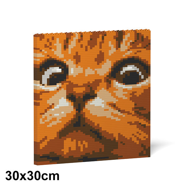Jekca Cat Eyes Brick Painting 02S-M01