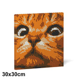 Jekca Cat Eyes Brick Painting 02S-M01