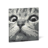 Jekca Cat Eyes Brick Painting 02S-M02