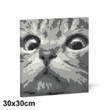 Jekca Cat Eyes Brick Painting 02S-M02