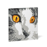 Jekca Cat Eyes Brick Painting 03S