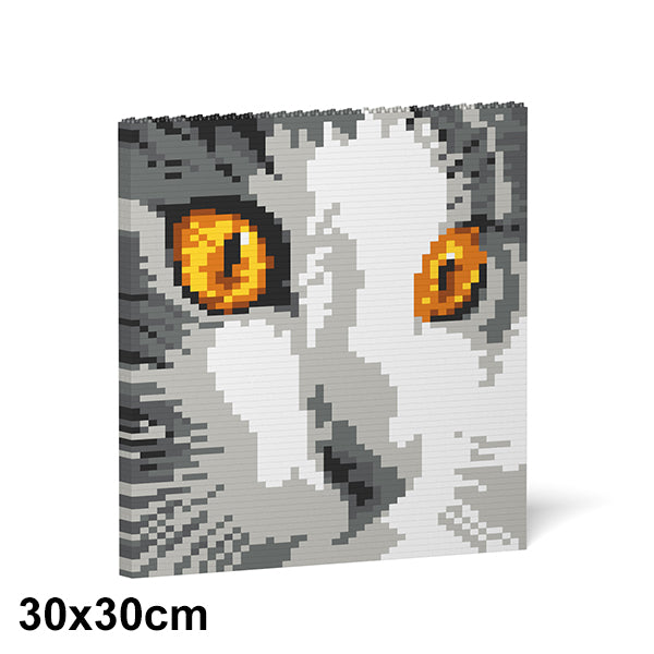 Jekca Cat Eyes Brick Painting 03S