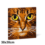 Jekca Cat Eyes Brick Painting 04S-M01