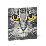 Jekca Cat Eyes Brick Painting 04S-M02