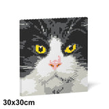 Jekca Tuxedo Cat Brick Painting 01S