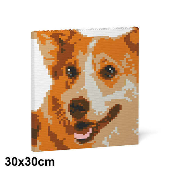 Jekca Welsh Corgi Brick Painting 01S
