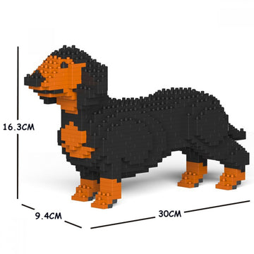 Dachshund 01S-M01