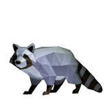 Raccoon Model