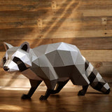 Raccoon Model