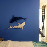 Tiger Sharks Wall Art & Decor